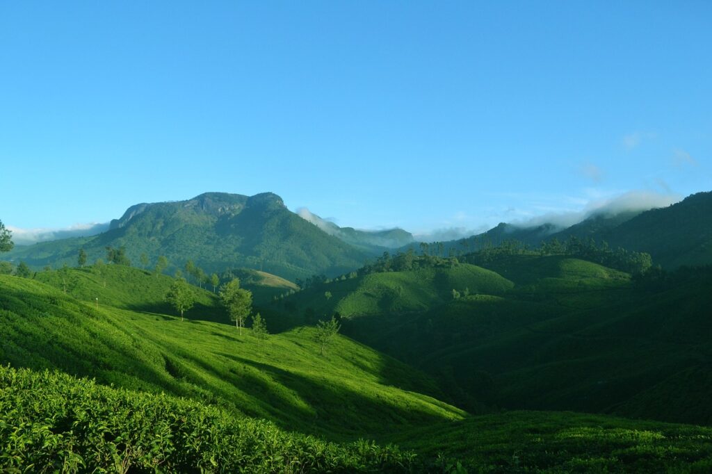 Serene mountain landscape, perfect for virtual office in Kerala.