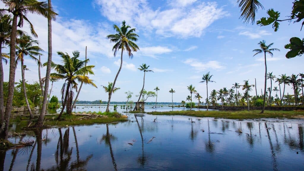 Scenic Kerala location with coconut tree and backwater, ideal for virtual office for GST registration.